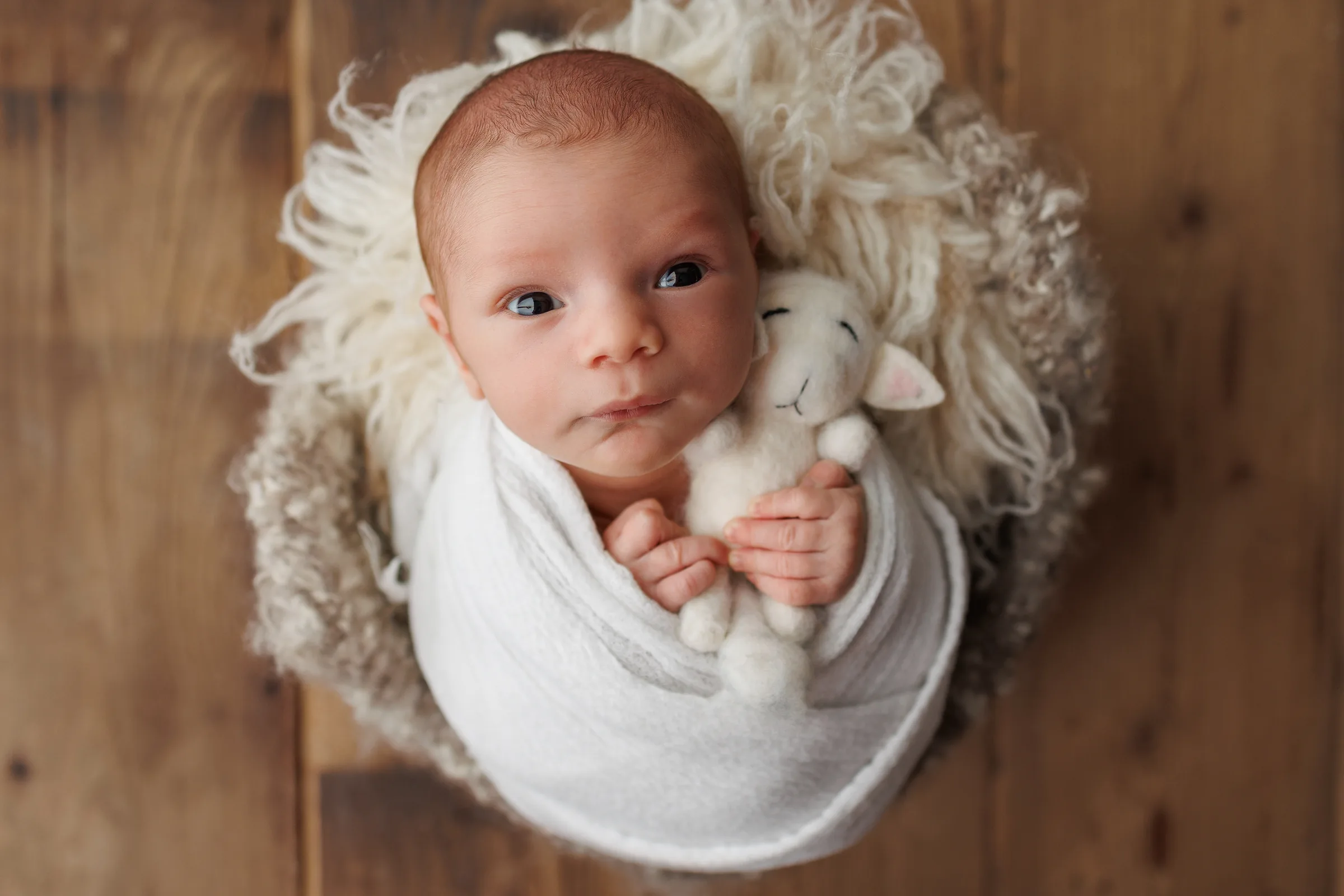 Nouveau-né éveillé avec son doudou mouton dans un panier, photographié en studio par Emilie Colusso, formation photographie nouveau-né pour photographes