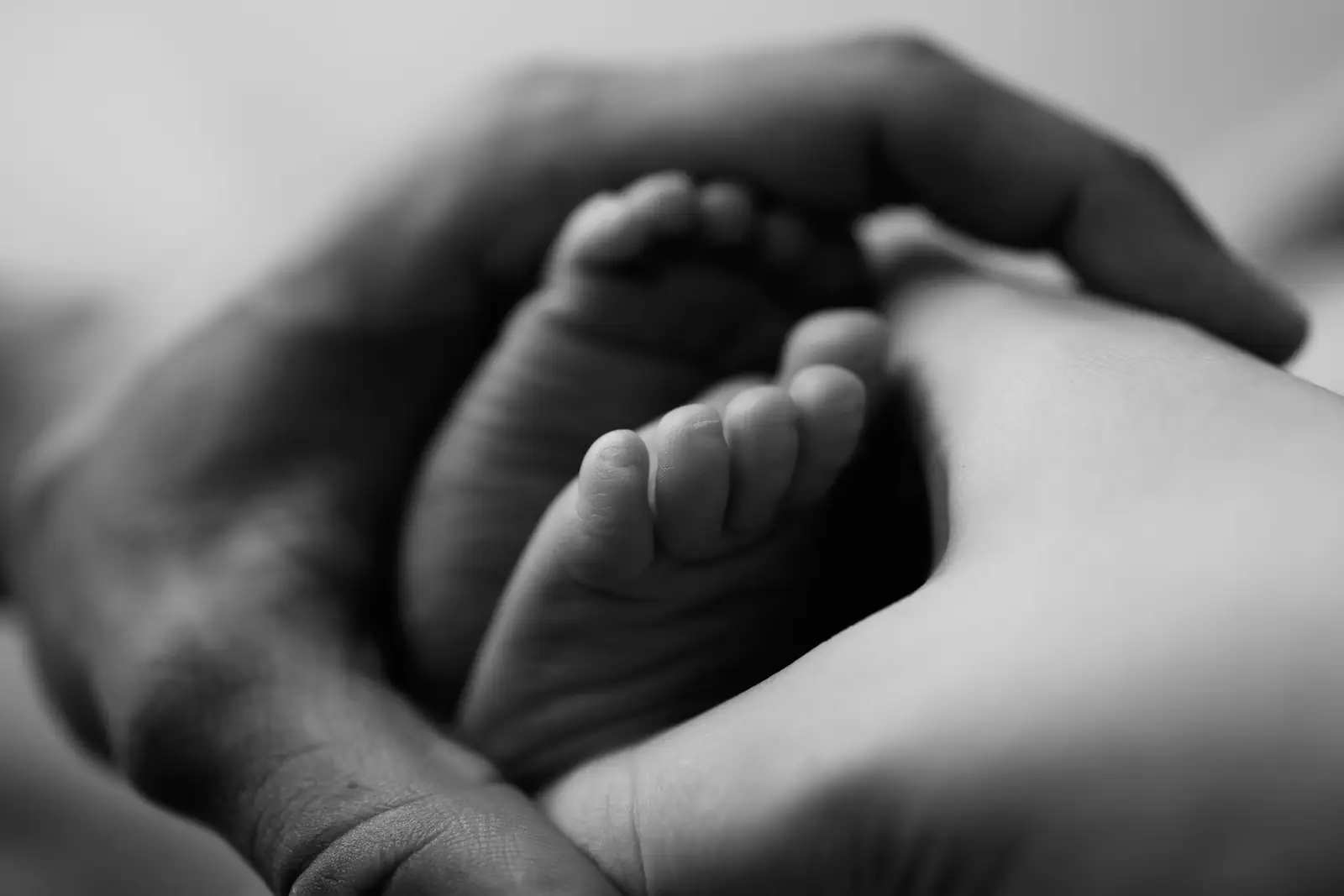 Pieds de nouveau-né dans les mains de son papa, journée 2 du pack formation grossesse et nouveau-né, Emilie Colusso